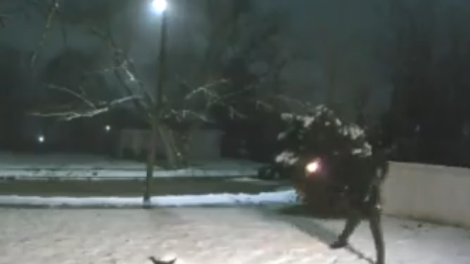 WATCH: Detroit police looking for suspects in separate firebombing incidents