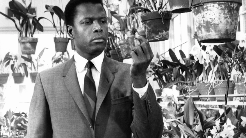 To Mr. Tibbs, with love: Chicago film critic remembers Sidney Poitier