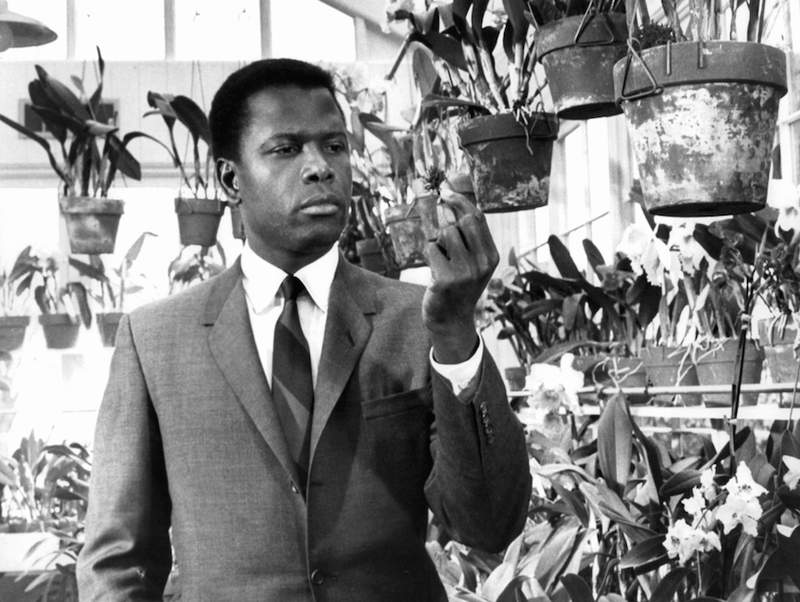 Sidney Poitier film still