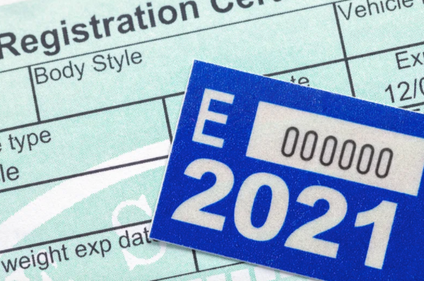 driver's licenses, plates