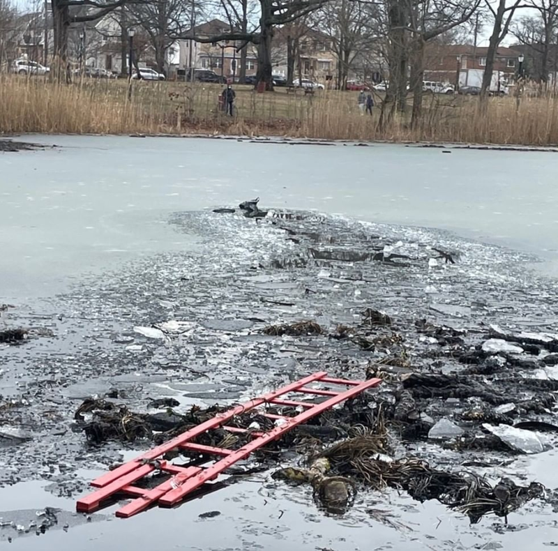 Pond