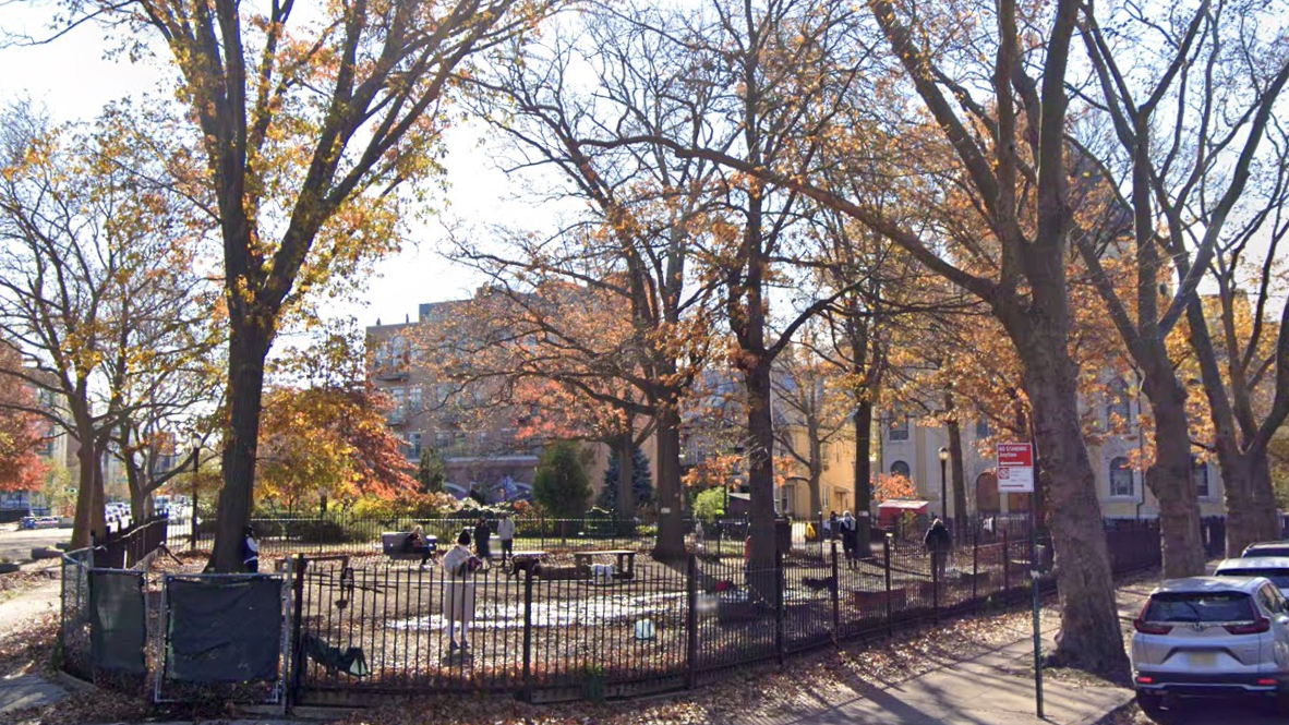 Rare rat disease suspected in deaths of dogs that visited Brooklyn park