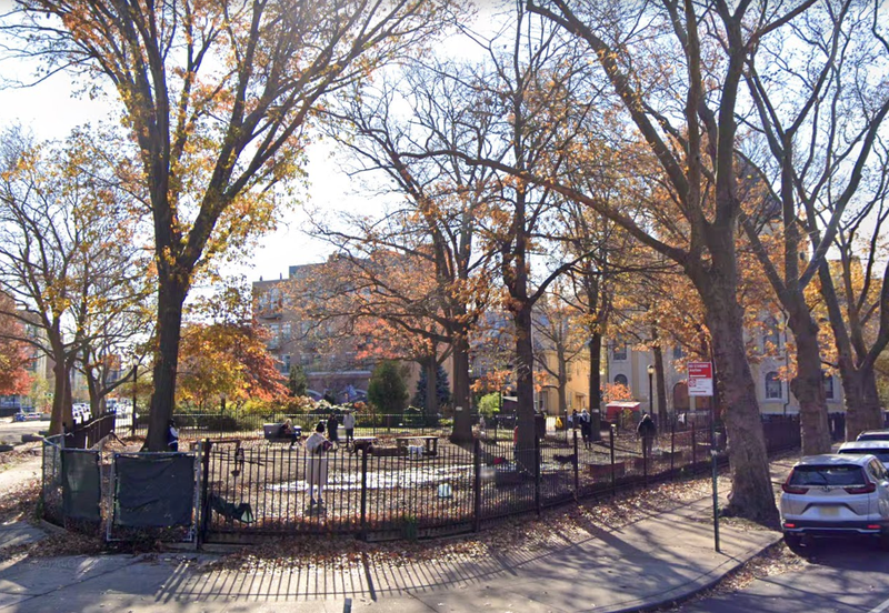 The McCarren Park Dog Run in Williamsburg, where residents believe dogs are contracting leptospirosis from rats