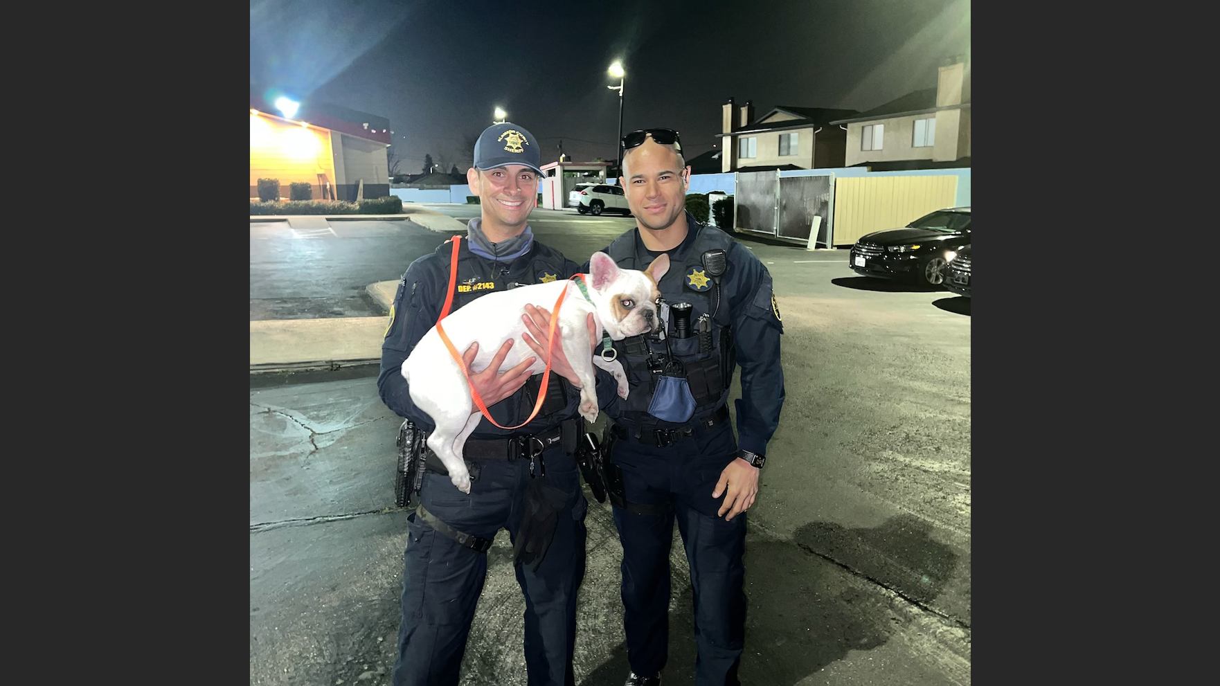 VIDEO: Castro Valley family heartwarmingly reunited with stolen French bulldog