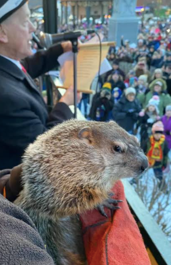 groundhog