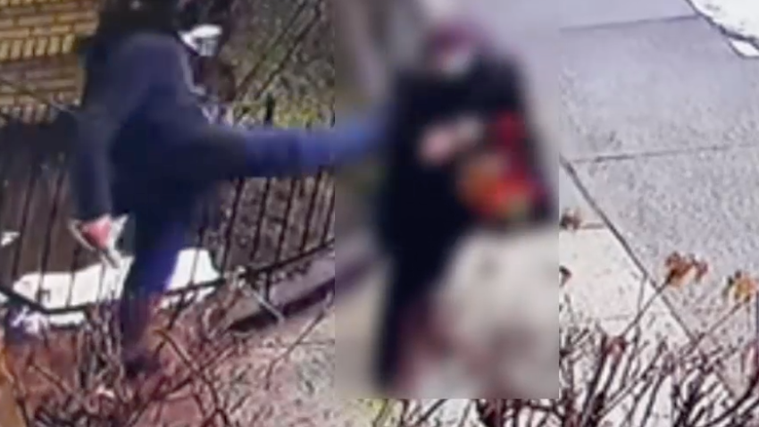 VIDEO: Man wanted for kicking 89-year-old woman to ground in Brooklyn