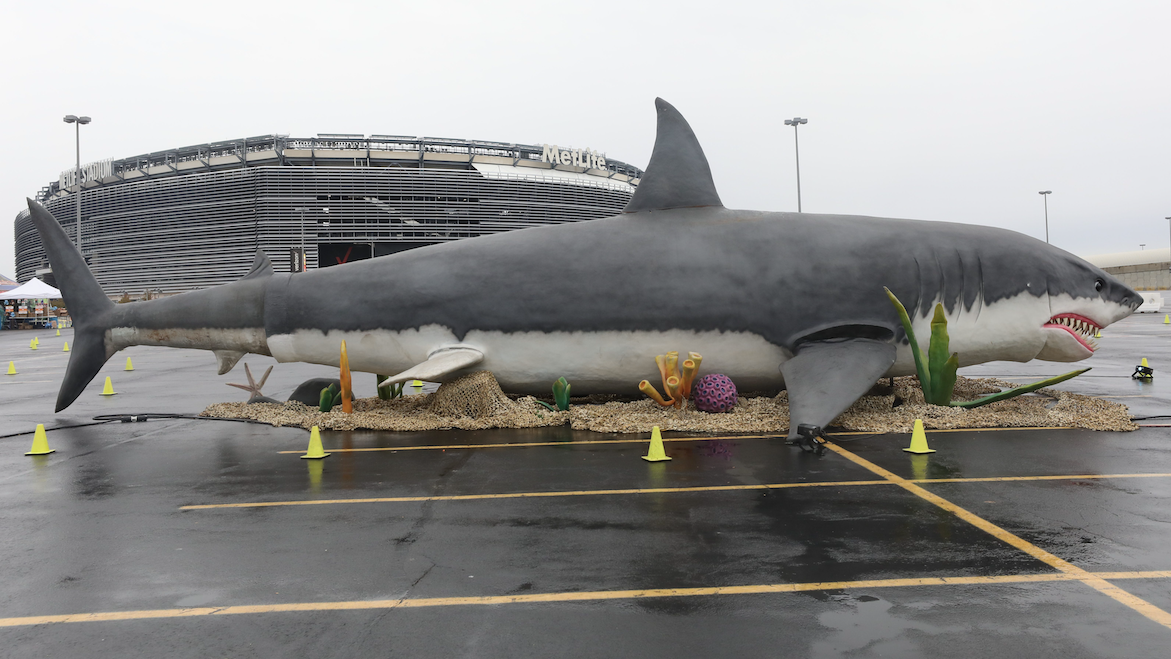 Any depiction of Megalodon shark just a fish story, study says