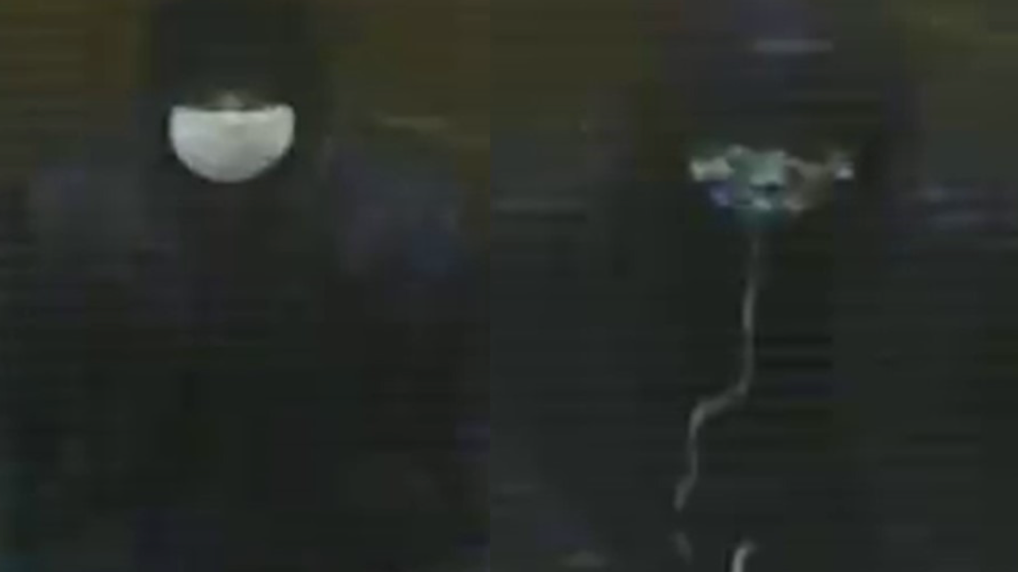 VIDEO: Brooklyn gas station robbed at gunpoint, 2 suspects sought