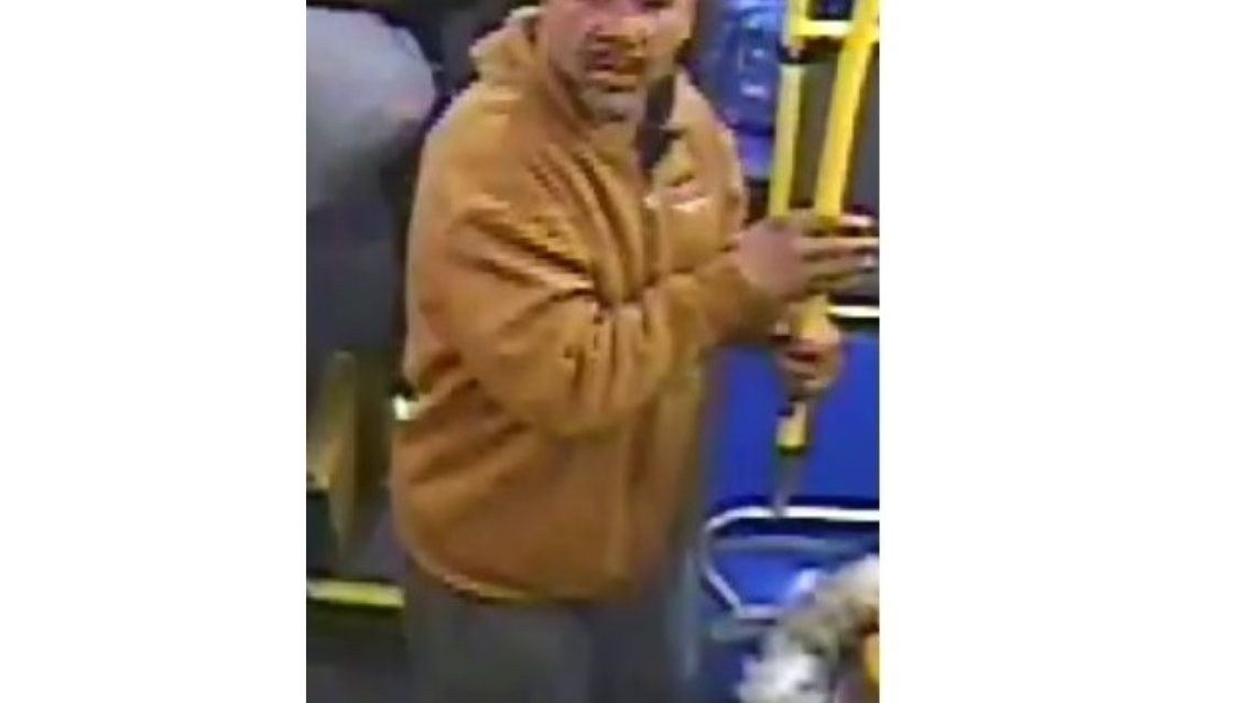 Man wanted for hitting MTA bus operator with tree branch
