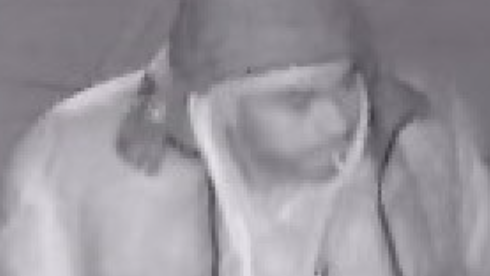 VIDEO: Man who carjacked plumber's van in Queens sought by police