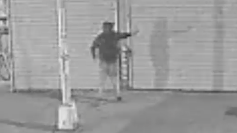 VIDEO: Suspect seen repeatedly firing gun on Bronx street sought by NYPD