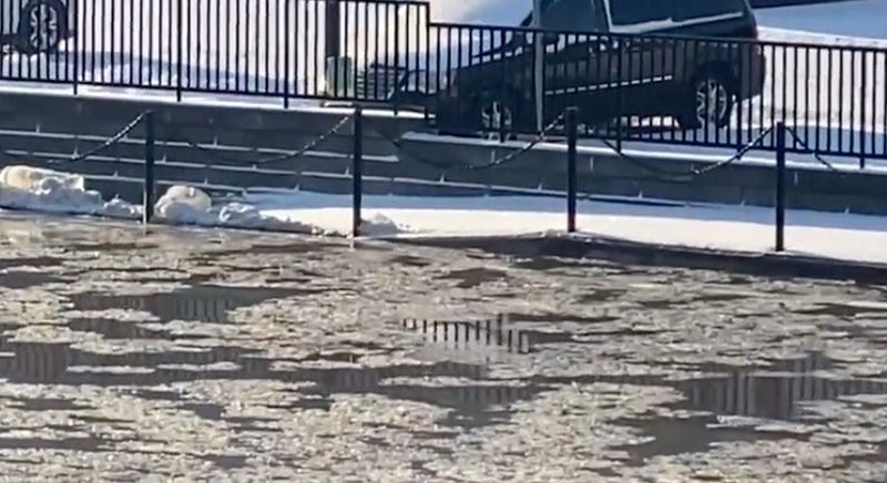 River filled with melting ice reaching level with land 