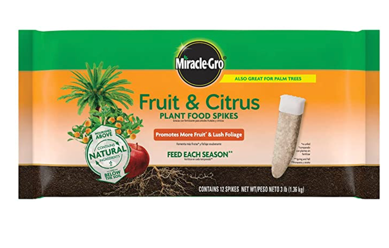 plant food spikes