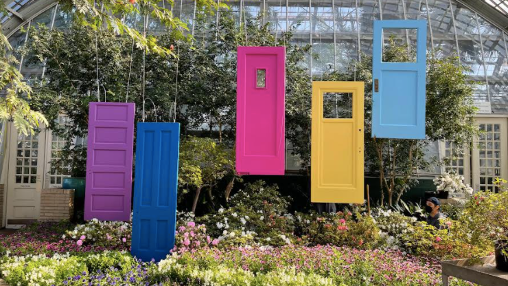 Park district flower show blooms as spring comes a-knocking