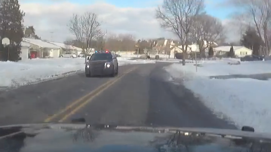 Video shows Detroit man stealing Southfield police car, leading officers on chase