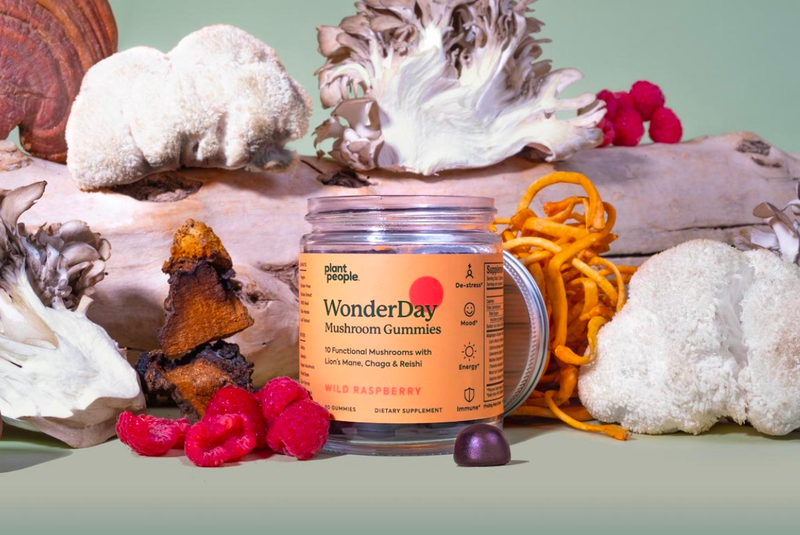 mushroom gummies