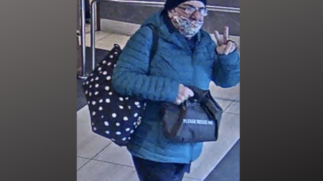 VIDEO: Suspect who stole purse from stroller inside Brooklyn Macy's sought