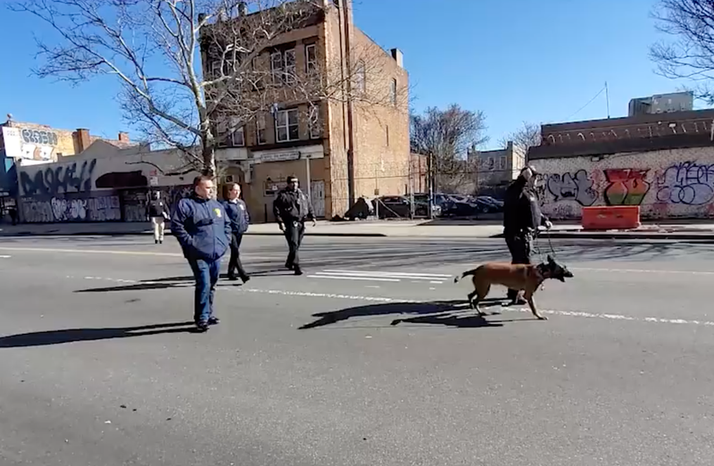 Members of the NYPD, including police dogs, search the area where the dismembered woman's body was found Thursday