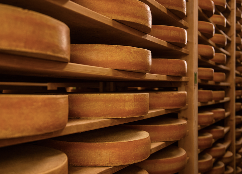 cheese on racks