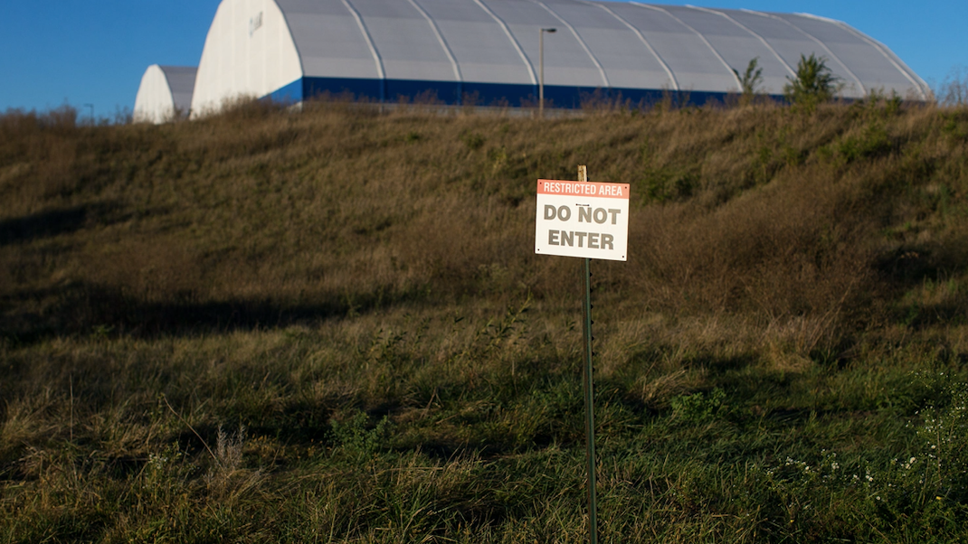 Endangered bumble bee could stave off destruction of prairie near airport
