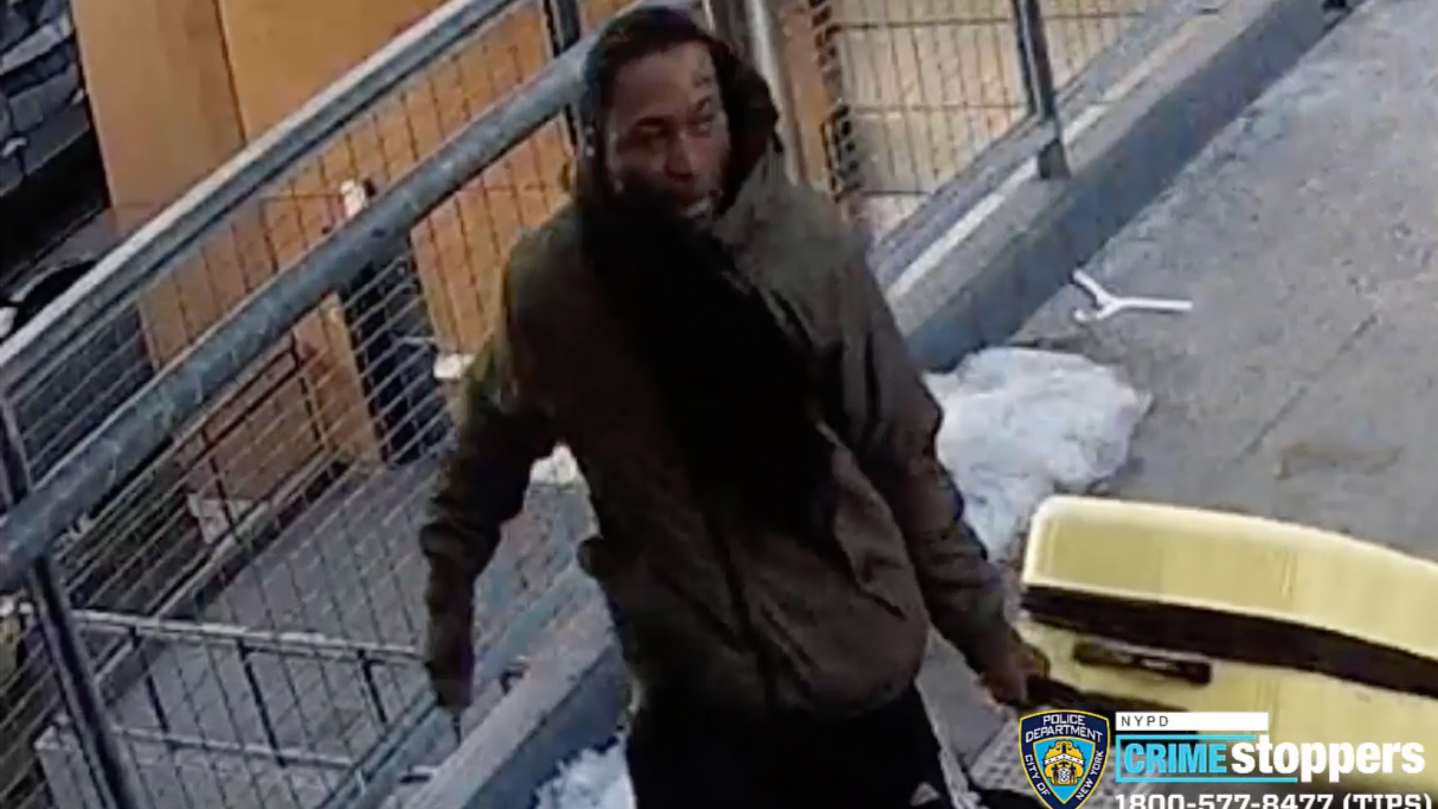 VIDEO: Man robs Bronx Target, slashes security guard