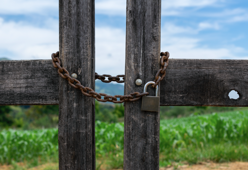 fence