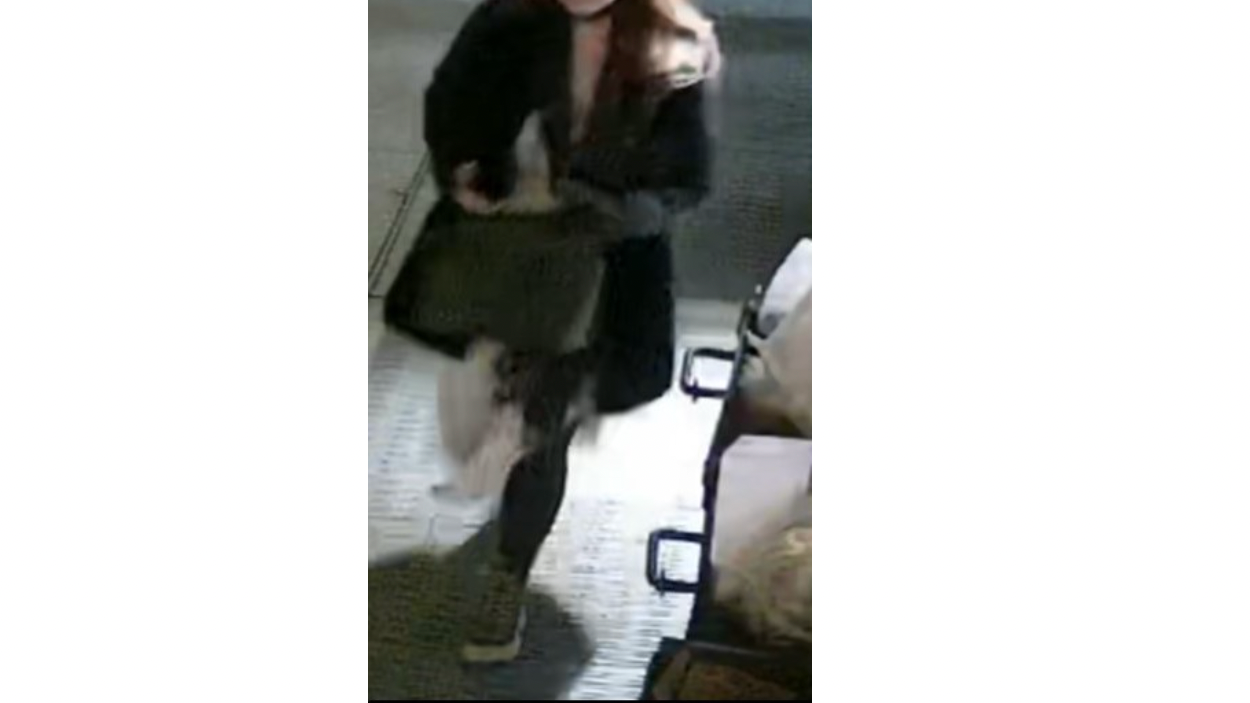 Woman, 87, in critical condition after another woman slams her to ground
