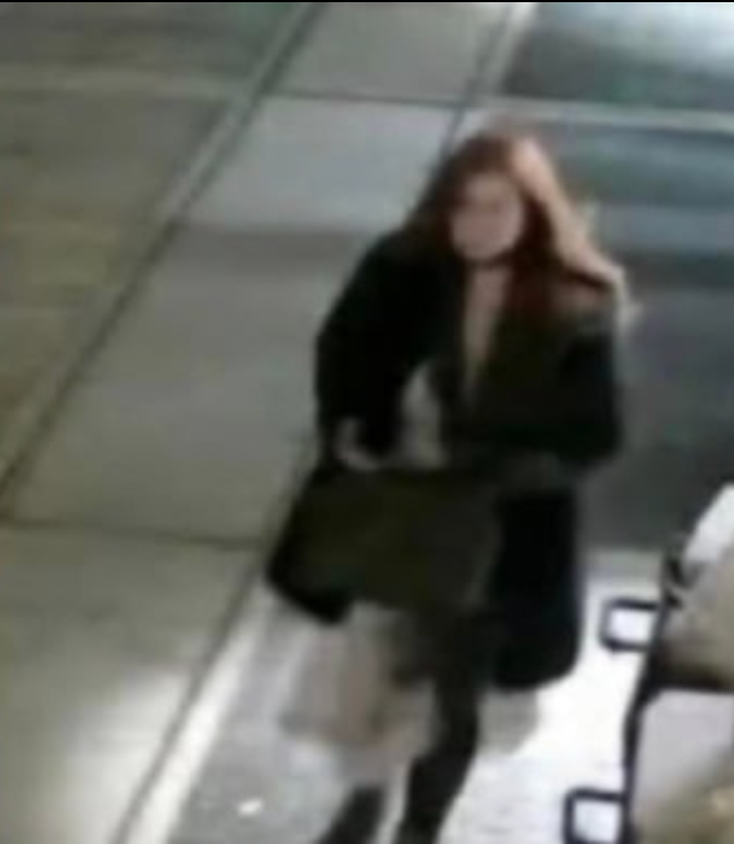 Surveillance image of suspect