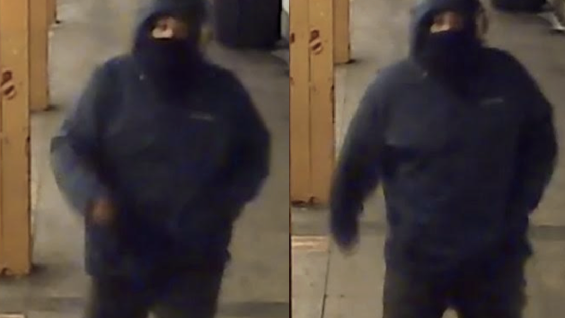 VIDEO: Man sought in robbery at Bronx subway station platform