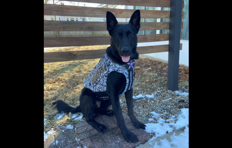 K-9 Ryker