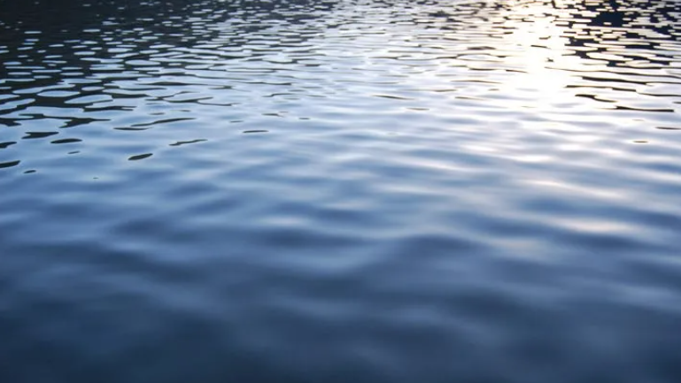 Police: 20-year-old woman who died in Detroit River jumped in to save friend