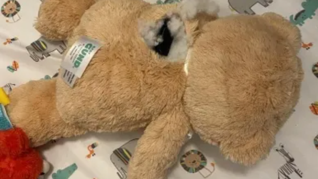 Bronx man who hid gun in teddy bear charged with shooting at off-duty NYPD officer