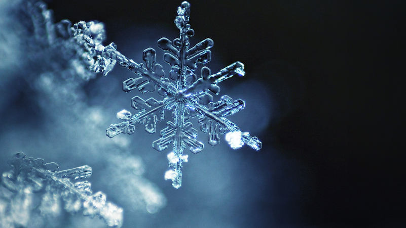  NIU to claim record for largest paper snowflake, professor says