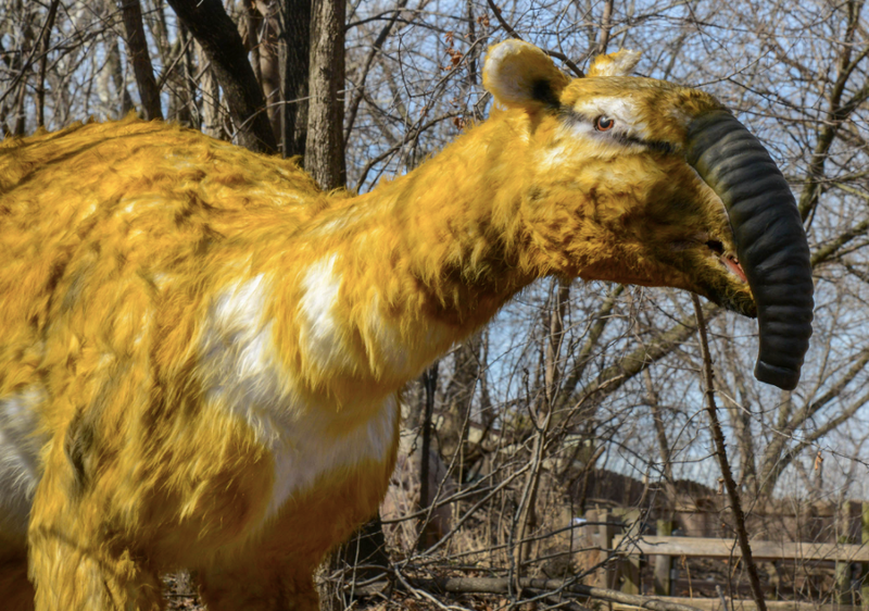 The South American macrauchenia 