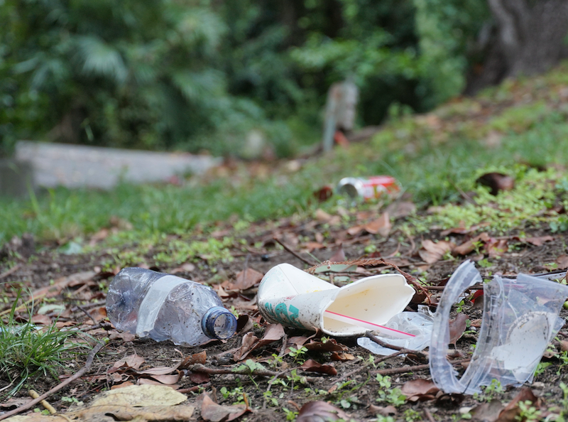 litter 