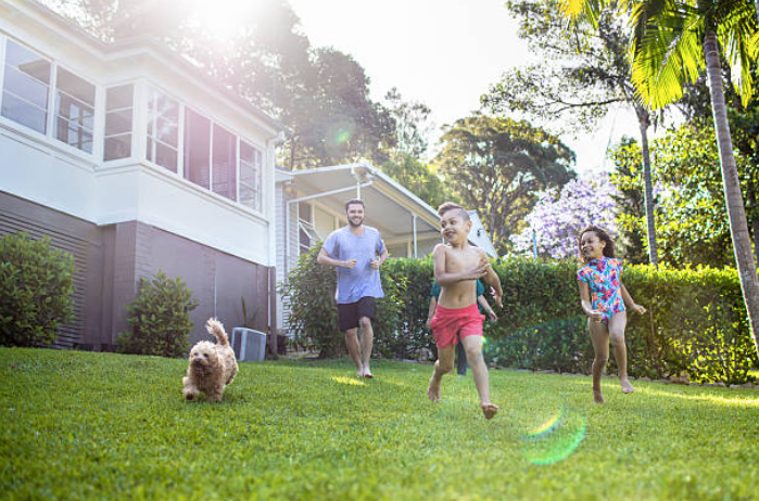 Backyard Fun