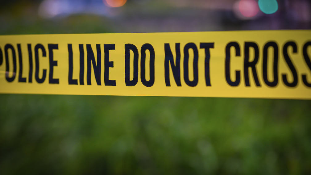 Possible human remains found in Will County