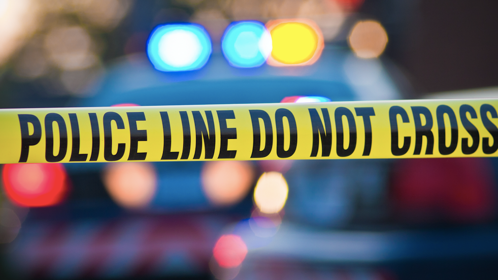 Three people found shot to death in Morgan Park residence