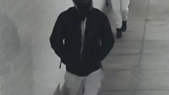 VIDEO: Woman robbed at gunpoint for $19 inside Brooklyn subway station