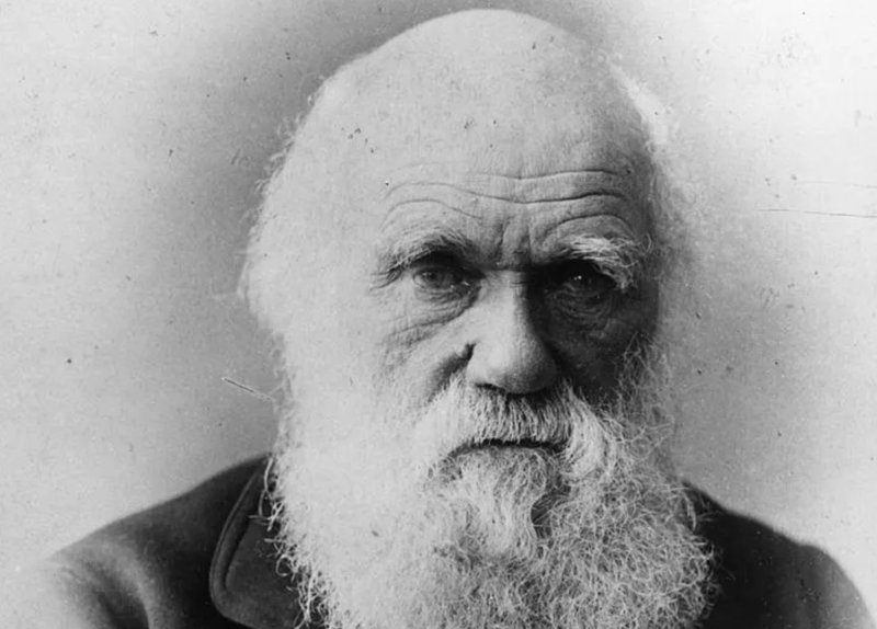  British naturalist and writer of 'The Theory of Evolution' Charles Robert Darwin (1809 - 1882). (Photo by General Photographic Agency/Getty Images)