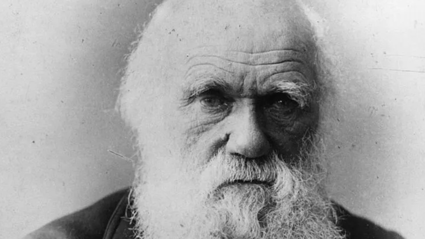Missing Charles Darwin notebooks mysteriously returned in pink gift bag