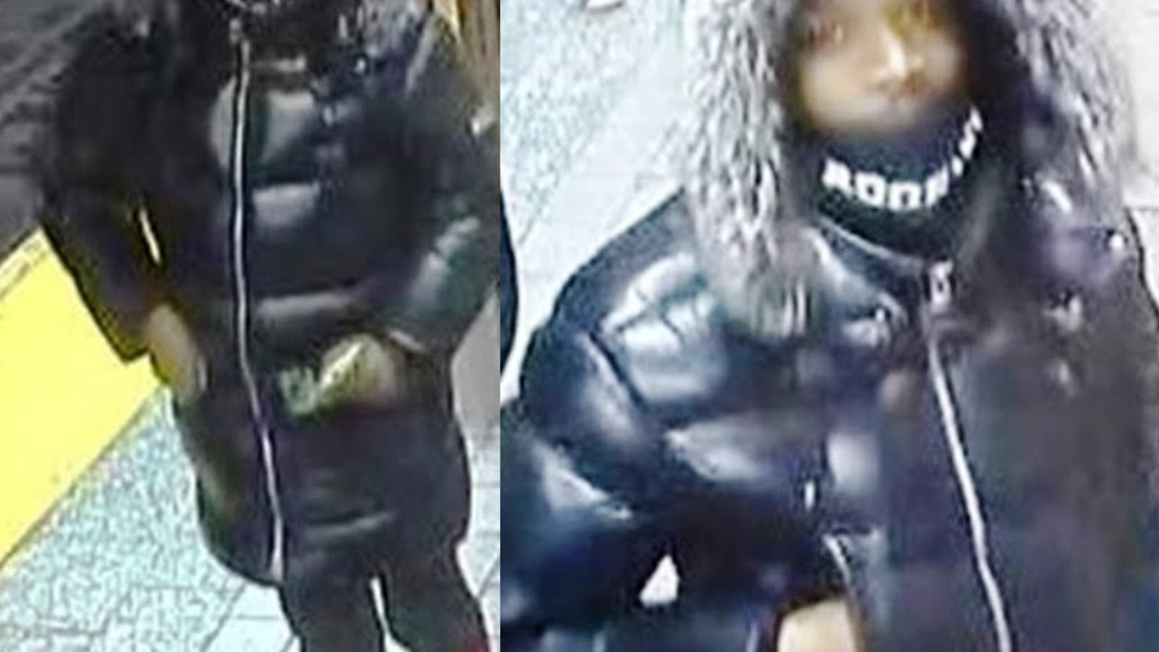 Man follows, gropes woman, 26, aboard Manhattan subway train: NYPD