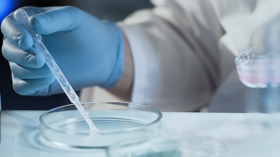 Fertility doctors who use their own sperm are targeted in fraud bill