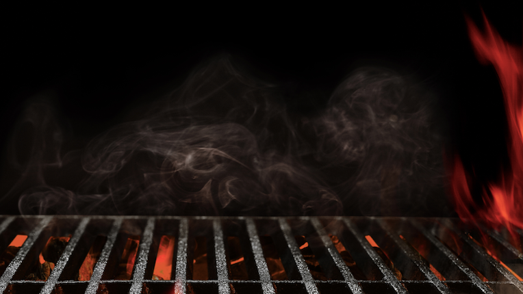 Goose was cooked for 2 accused burglars caught in Joliet restaurant
