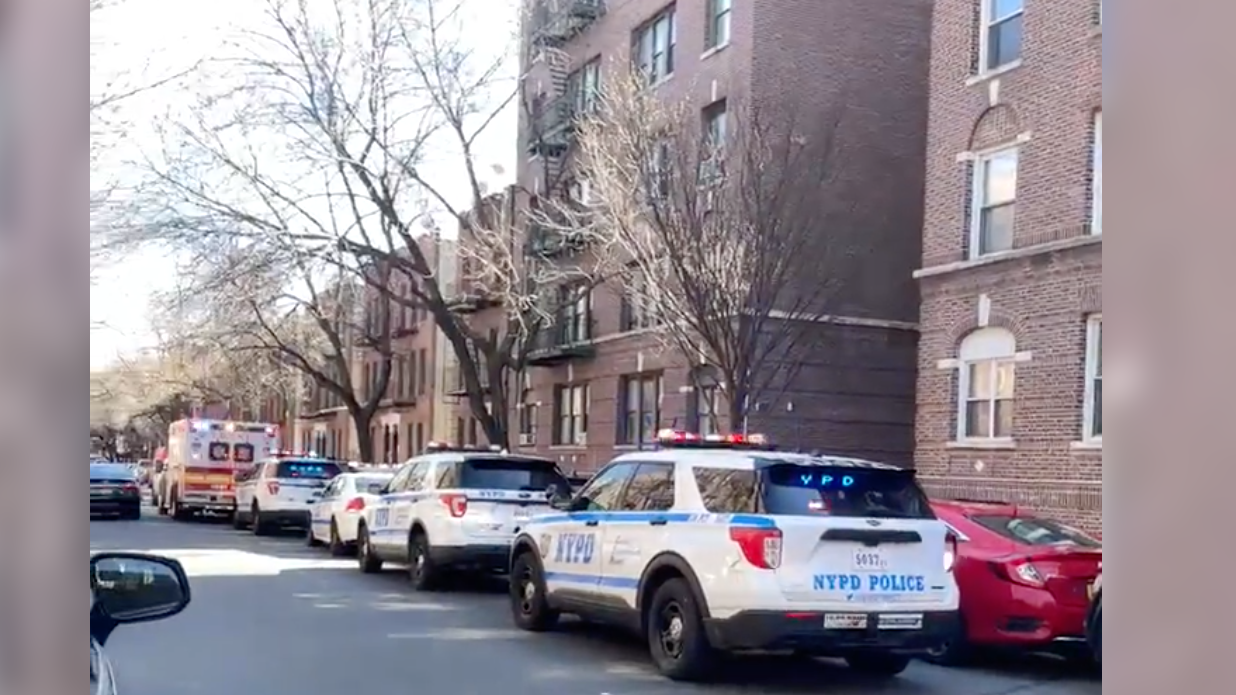 Machete-wielding man shot by police after Queens domestic dispute: NYPD