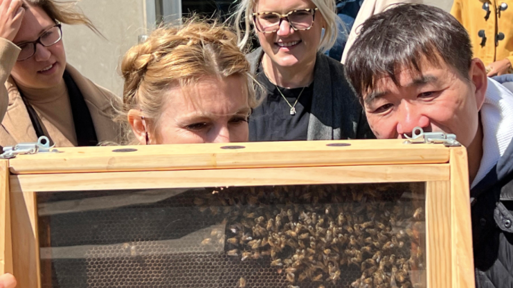 Bees are back in business atop one Chicago high rise