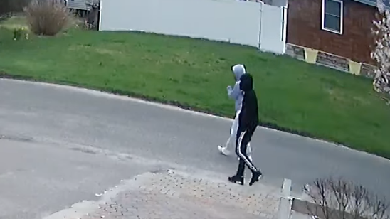 Woman sexually assaulted, beaten in LI home invasion: police