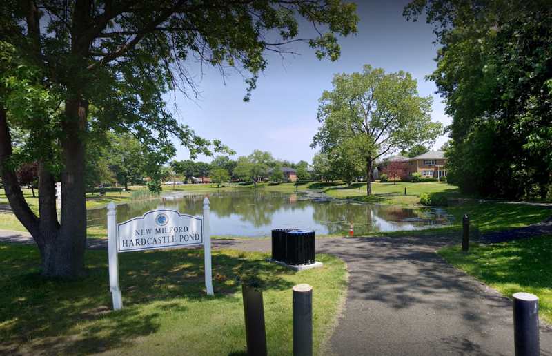 Hardcastle Pond