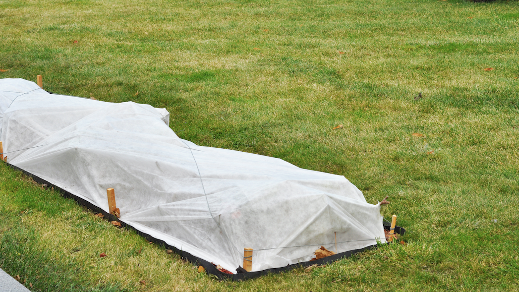 With freeze warning, some plants need to be covered overnight