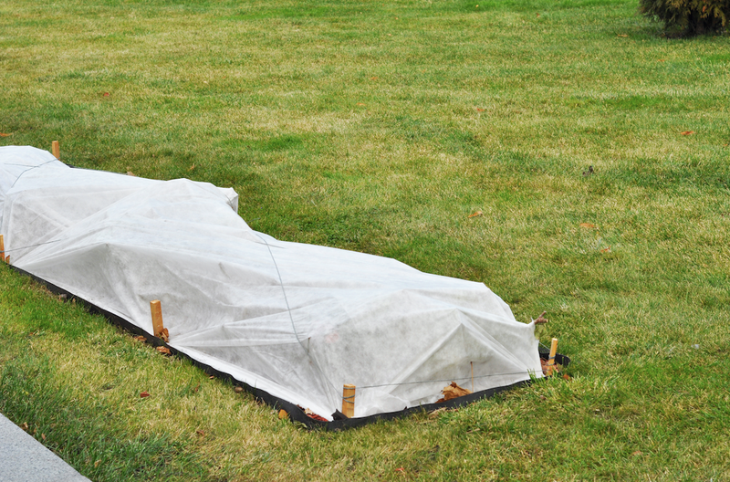 covered plants